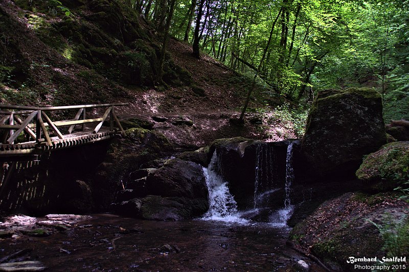 Bernhard Saalfeld - Ehrbachklamm